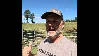 Never Worry about Your Farm Animal's Water Again! #farming #farm #livestock