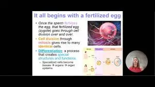 Cell cycle and Cancer