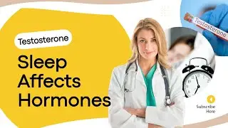 The effect of sleep on testosterone.