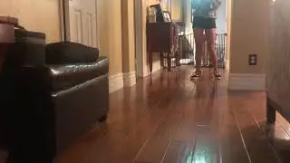 Eggdrop, more like Egg Why You Break