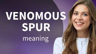Unraveling the Mystery: The Phrase 