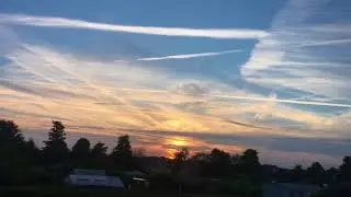 2018-06-10-8391 - Iden - Orange Sunset homomutatus timelapse