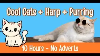 Cool Cats Harp & Purring for Cats & Kittens | Calming Cat Music & Relaxing Sounds (10 Hours)