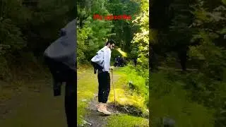 #Sharan #forest #Paras