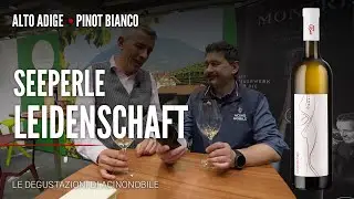 Pinot Bianco di Cantina Seeperle: un bianco altoatesino da bere tutti i giorni e non solo! 🍏✨