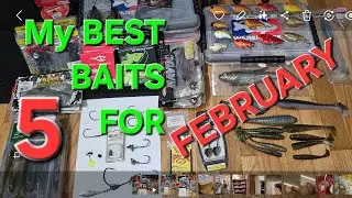 My BEST BAITS for FEBRUARY!!!