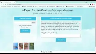 Web-based AI-System for shrimp disease classification