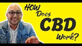 So how does CBD Work?