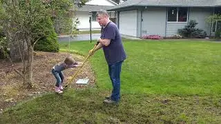 Eva Helps Dad Thatch the Lawn