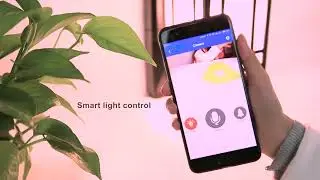 Homscam light&camera, Wall light with camera