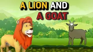 A lion and a goat story ! Clever goat