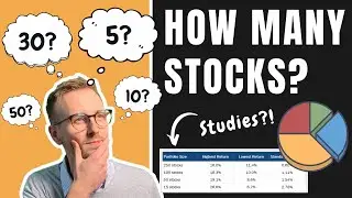 How Many Stocks Should I Own In My Portfolio? How to Build a Stock Portfolio (With Studies!)