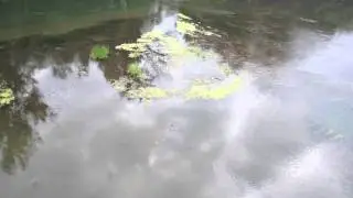 AD6 Droidworx by the river