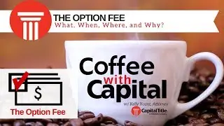 The Option Fee - What, When, Where, and Why?