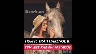 horse 🐴 attitude