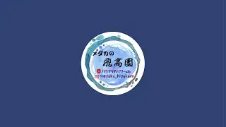 メダカの飛高園 がライブ配信中！