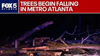 Tree collapse: 60-foot oak blocks southwest Atlanta road | FOX 5 news