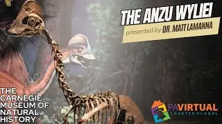 Extra Credit - Carnegie Museum of Natural History: Anzu Wyliei