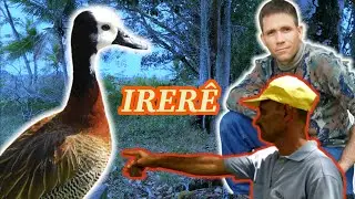 EM BUSCA DA IRER&Ecirc; (Dendrocygna viduata) NORDESTE E SUA NATUREZA
