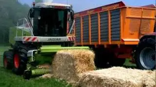 claas jaguar 870 stro hakselen