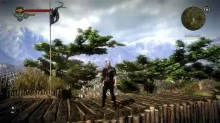 Witcher 2 Scenery