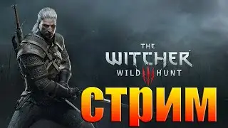 Witcher 3