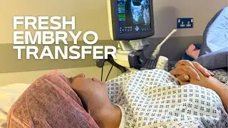 Embryo Transfer Day | My IVF Journey | Living with Endometriosis #embryotransfer #ivfjourney #endo 