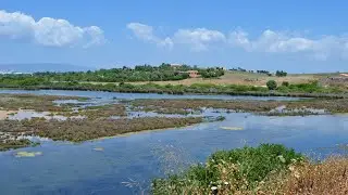 Preserving the Alvor Estuary