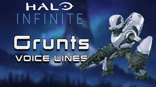 Halo Infinite: Campaign - Grunts Voice Sounds