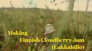 An Ozzie in Oulu - Making Cloudberry Jam (Lakkahillo)