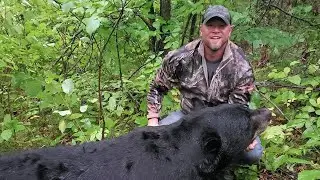 Brainerd Man Pleads Guilty to Illegally Killing Bear on Red Lake Reservation