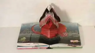 Ricky Gervais' Flanimals Popout Book