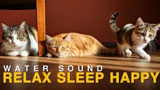 Relaxing Water Flow Sound for Cats: Relax Sleep and Happy 😺