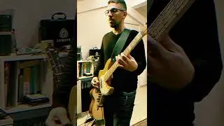 Muse - Supermassive Black Hole| BASS COVER #bassplayer #muse #sirebass