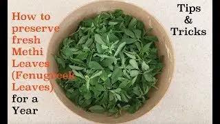 How to preserve fresh Methi Leaves (Fenugreek Leaves) for a year.Tips & Tricks.