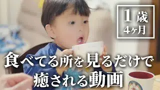 １歳4ヶ月のご飯動画👶✨【離乳食】