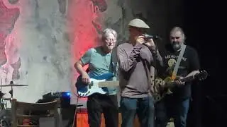 T.C. Carr with Kid Royal Band at Bayboro Brewing, St. Pete, March 2025