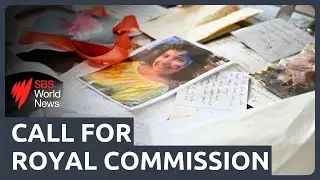 Bondi terror attack: Leaders urge for federal royal commission as government resists