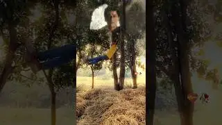 #yek duje se huye juda😔 #sad💔 #emostionalvideo👩&zwj;❤️&zwj;👨 #viral #trendingreels #ytshort #trend #sarukhan