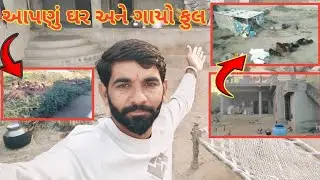 આપણું ઘર અને ગાયો ફુલ બ્લોગ | Maldhari Rural Life Gujarat | Gir Cow Video | Shyam Meer Vlogs