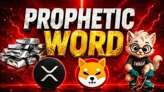 Silver Xrp Shiba Inu Wikicat : A Powerful Prophetic Word