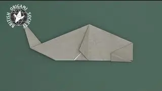 Whale