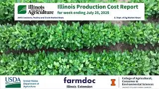 Illinois Production Cost Report - July 25, 2025 #IllinoisAgriculture #Fertilizer #FuelPrices