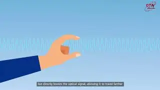 Optical Transmission Minipedia | Issue 3: Core Components of a WDM System-Optical Amplifier