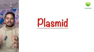Plasmid | Types, Functions & Clinical Importance | NEET PG