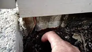 Building Inspector Brisbane - Concealed Rusty Posts