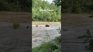 Giant flood🤯😱 #floodwater #floodwarning #flooded #2023 #shorts #youtubeshorts