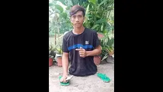 Legless but not Hopeless