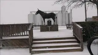 Sleet and Snow Storm Hits Muleshoe January 24, 2026
