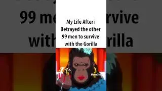 Gorilla Life
